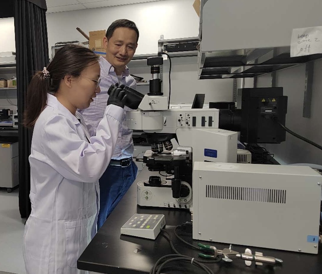 APS professor Jinsong Huang, right, was joined in the research by APS research assistant and the paper's first author Mengru Wang (at the microscope).